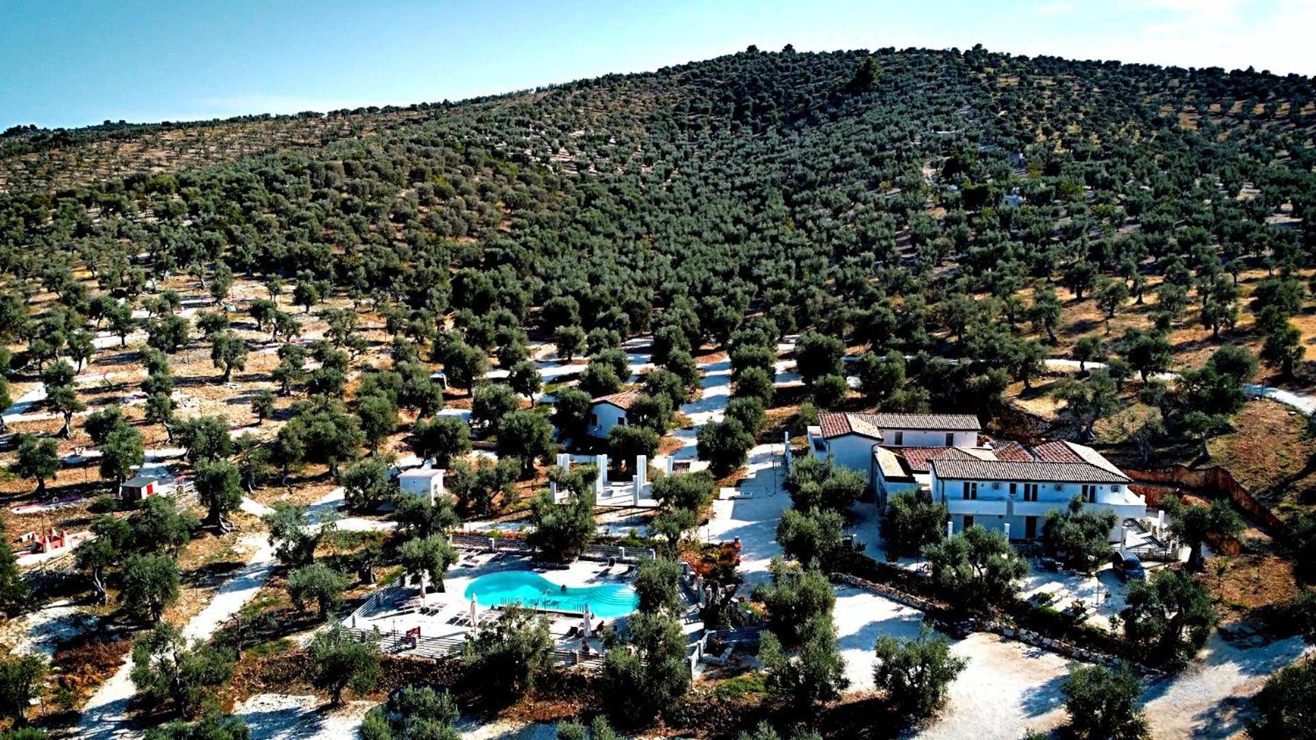 Agricampeggio - Solo Piazzole Vuote - Agriturismo Passione Natura Vieste Eksteriør billede