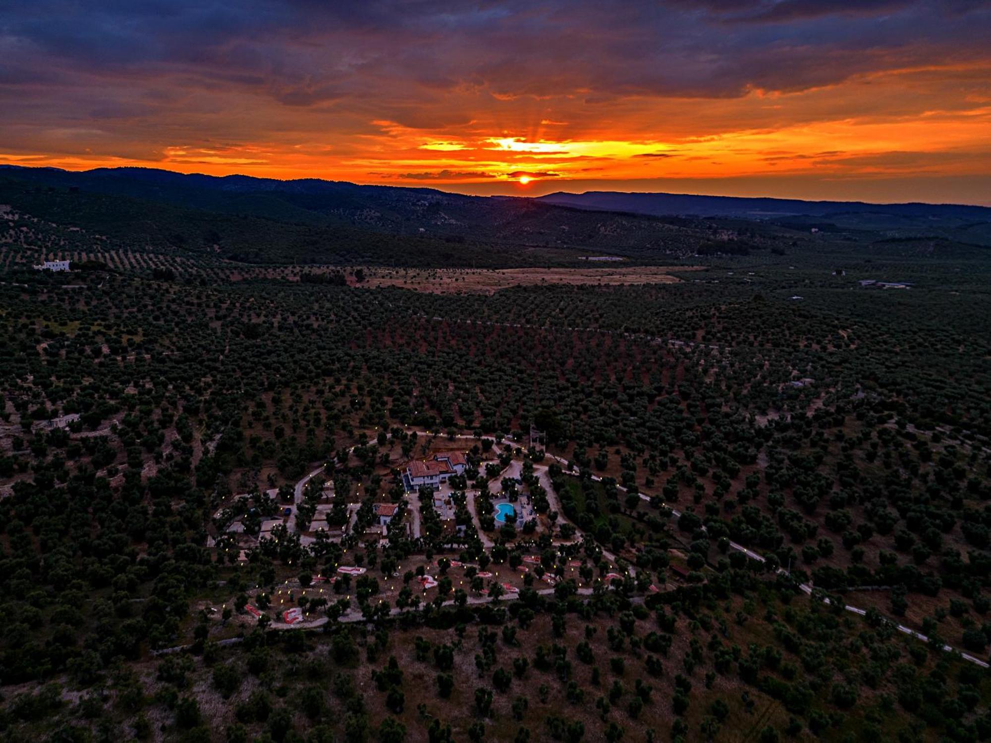 Agricampeggio - Solo Piazzole Vuote - Agriturismo Passione Natura Vieste Eksteriør billede